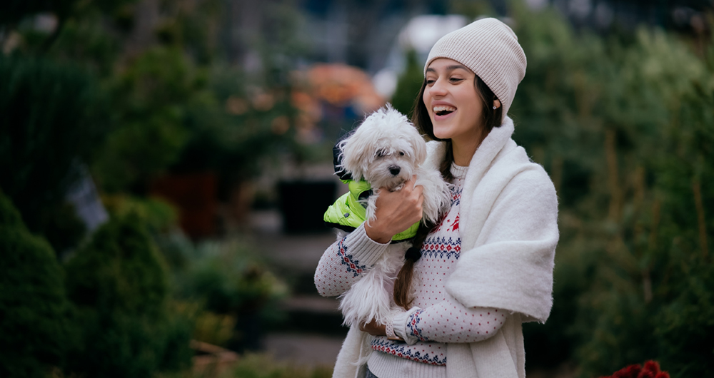 dog apparel